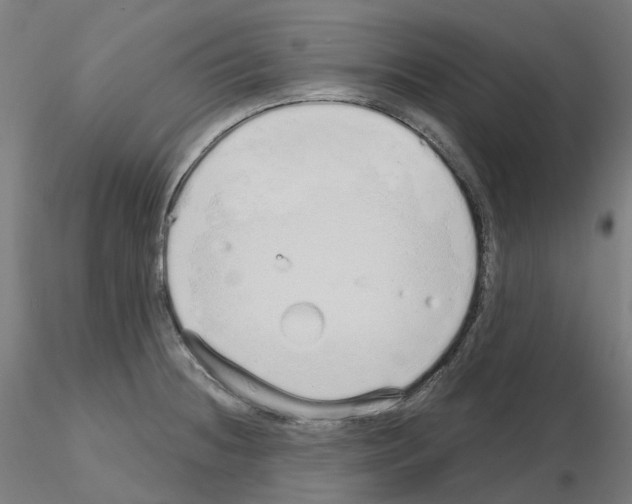 X0000115631236200912221242