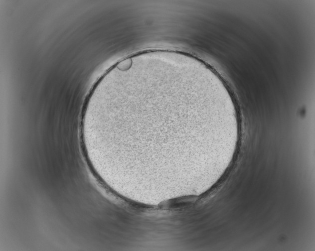 X0000115631237200912221242