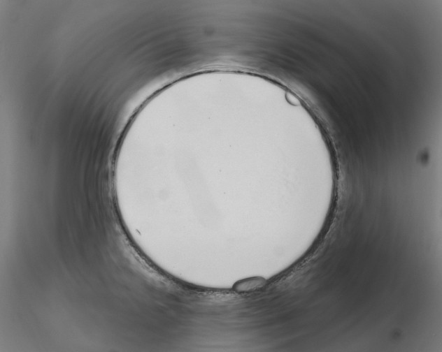 X0000115631238200912221242