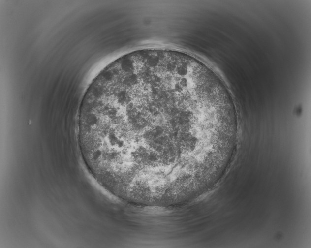X0000115631239200912221242