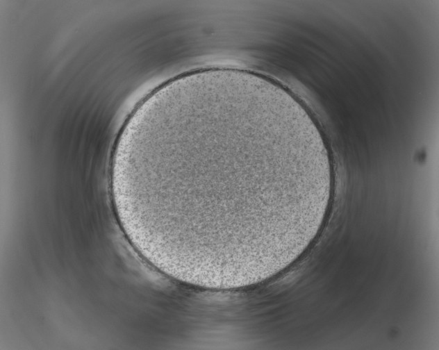 X0000115631240200912221242