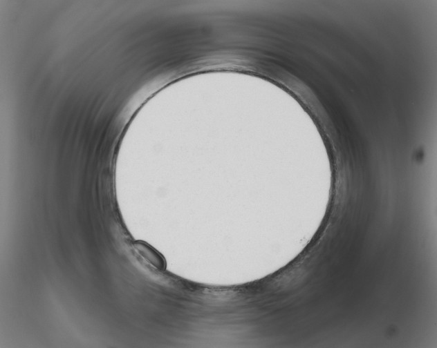 X0000115631242200912221242