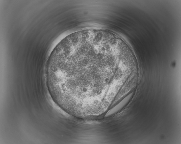X0000115631243200912221242