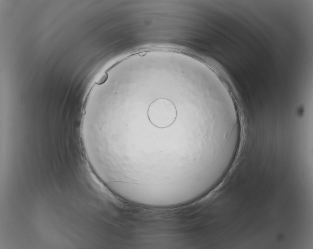 X0000115631244200912221242