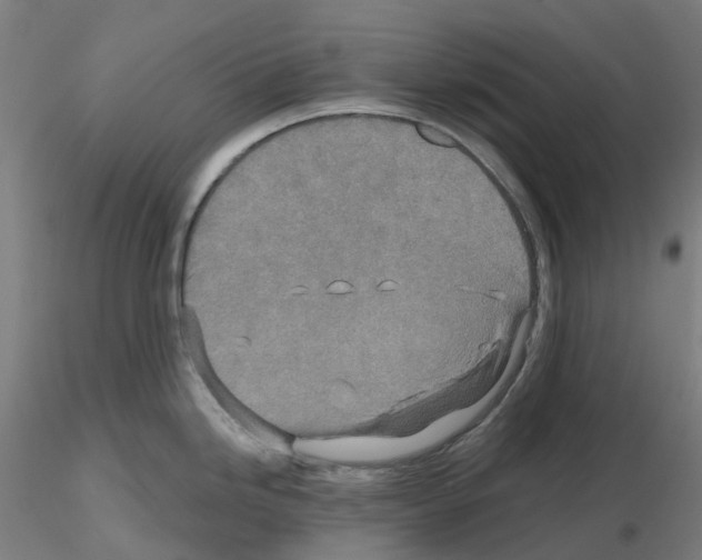 X0000115631246200912221242