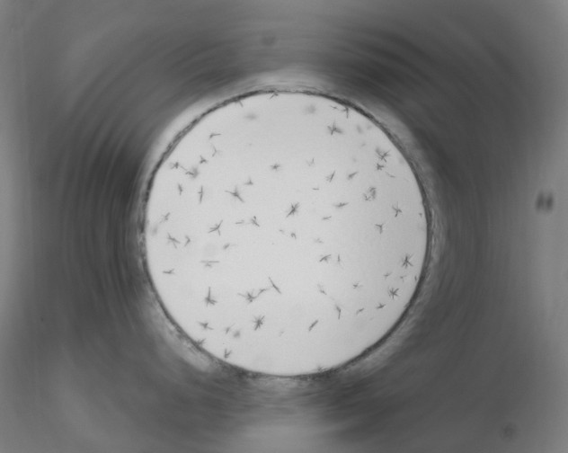 X0000115631248200912221242