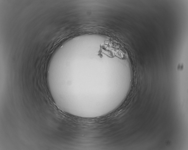 X0000115631249200912221242