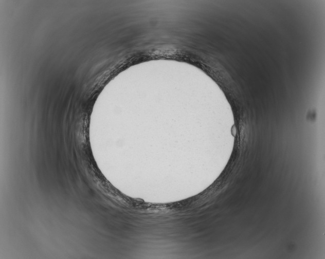 X0000115631250200912221242