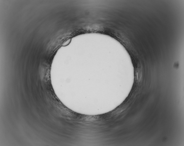 X0000115631251200912221242