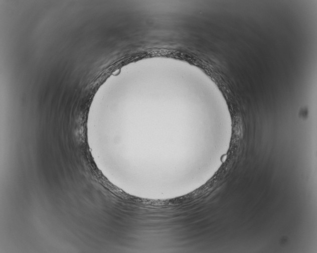X0000115631252200912221242