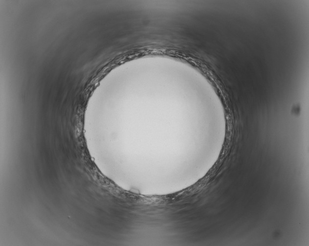 X0000115631253200912221242