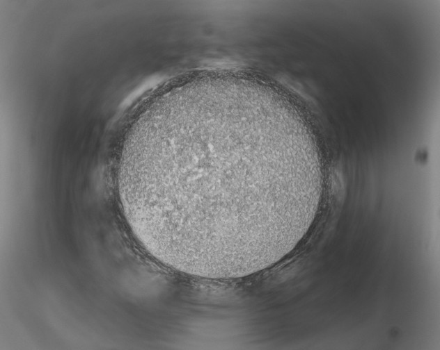 X0000115631254200912221242
