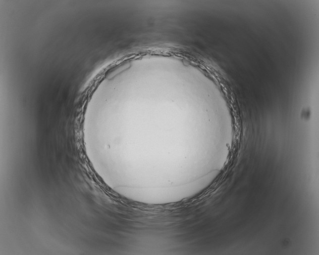 X0000115631256200912221242