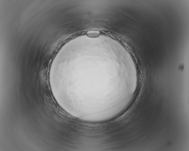 X0000115631257200912221242