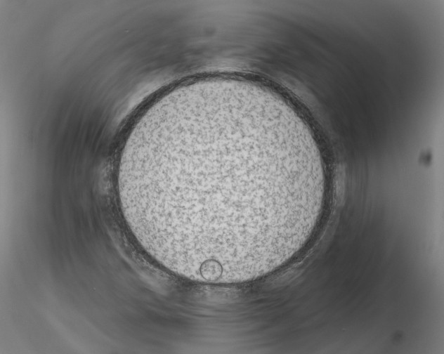 X0000115631258200912221242