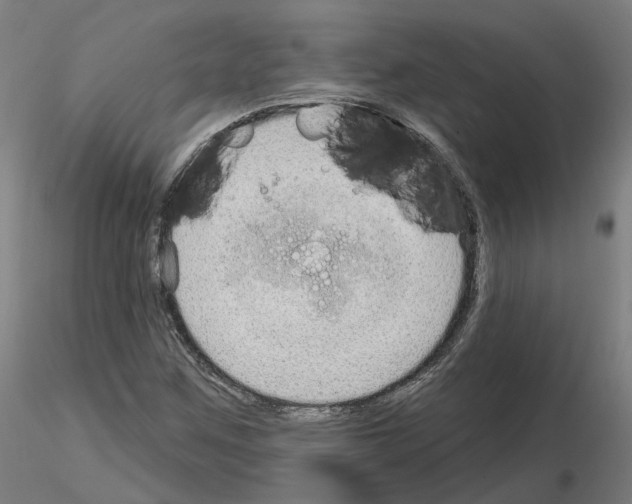 X0000115631259200912221242