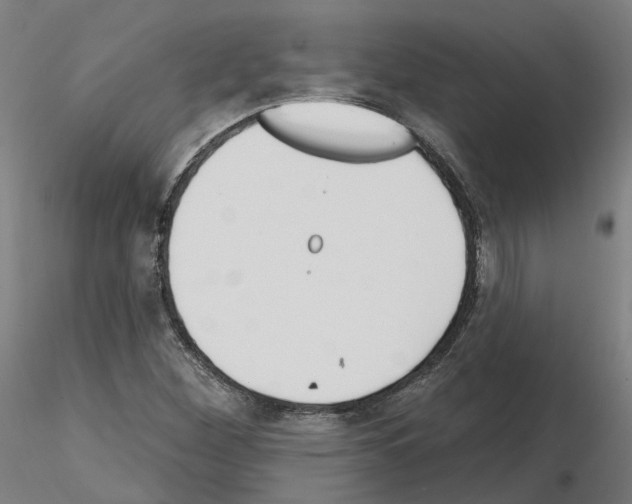 X0000115631260200912221242