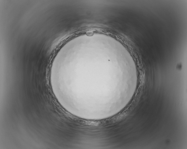 X0000115631261200912221242