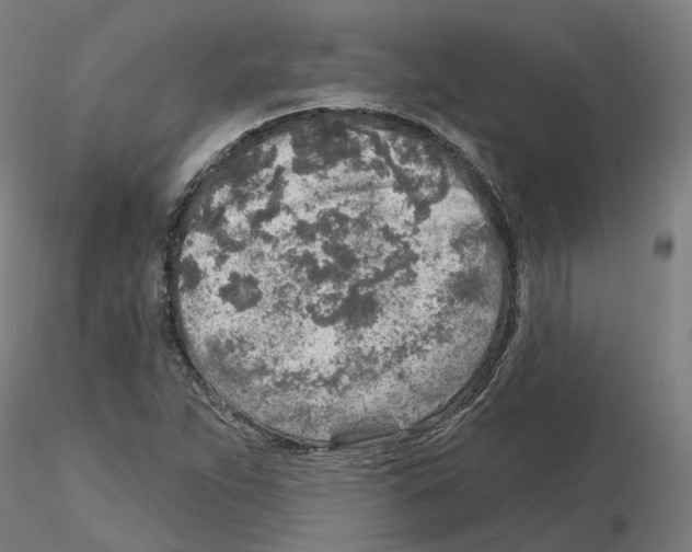 X0000115631263200912221242