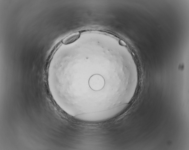 X0000115631264200912221242