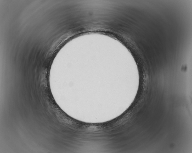 X0000115631265200912221242