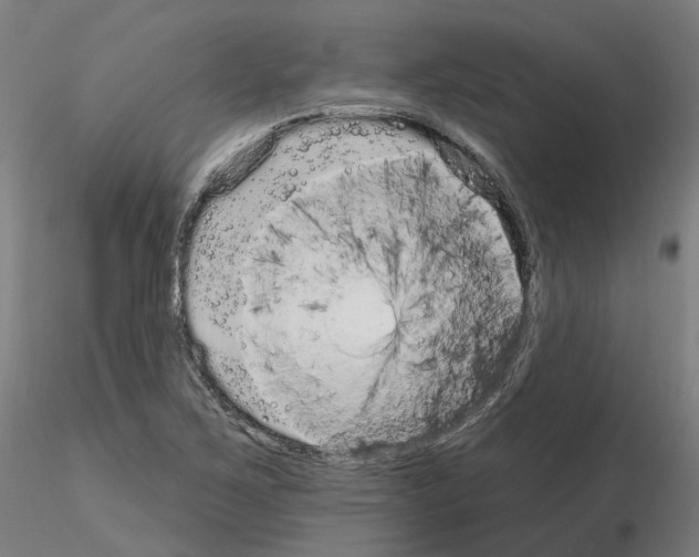 X0000115631267200912221241