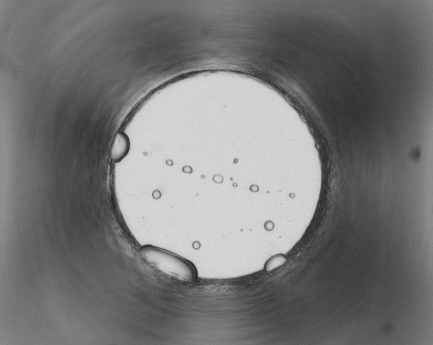 X0000115631268200912221241