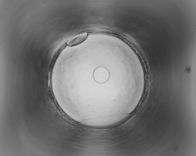 X0000115631269200912221241