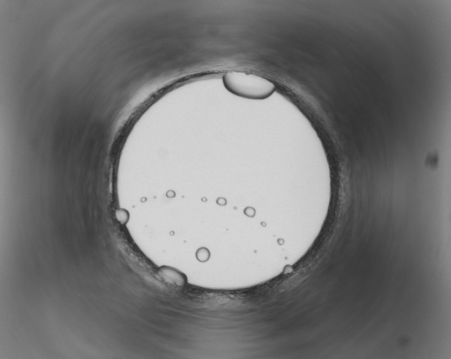 X0000115631270200912221241