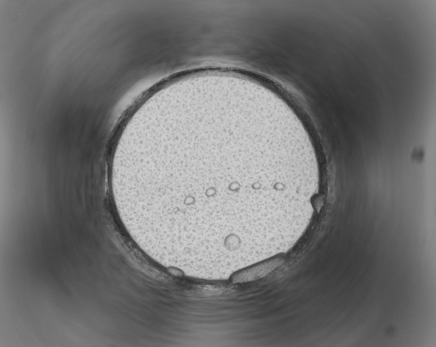 X0000115631271200912221241