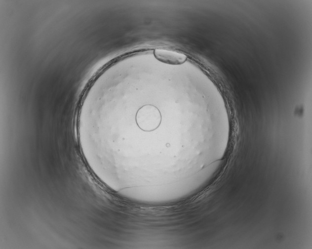 X0000115631272200912221241