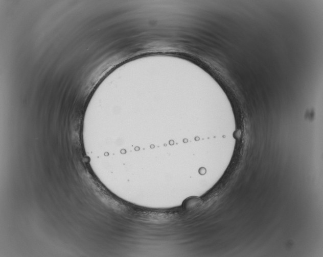 X0000115631273200912221241