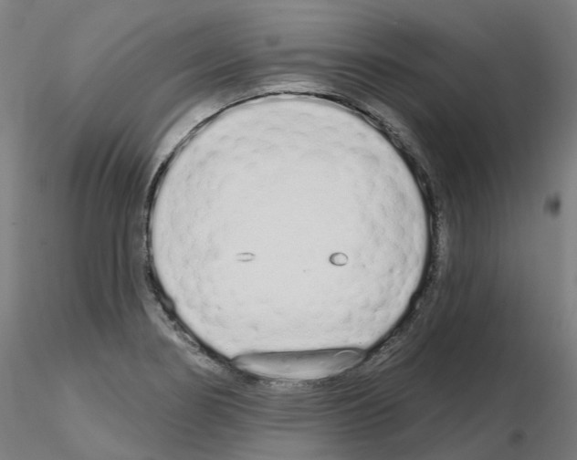 X0000115631274200912221241