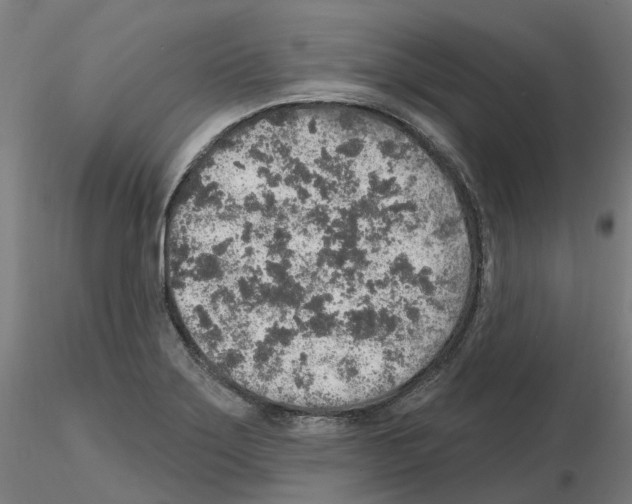 X0000115631275200912221241