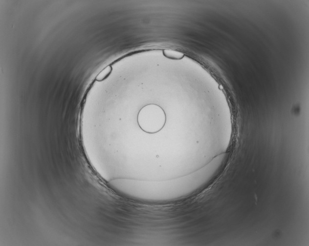 X0000115631276200912221241