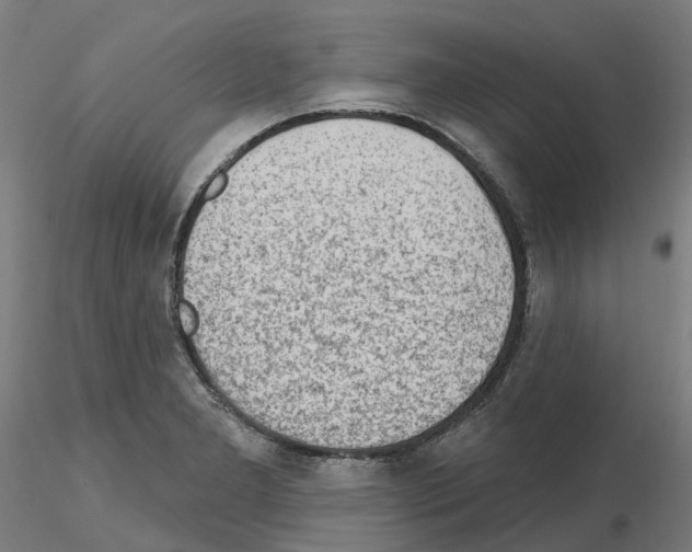 X0000115631277200912221241