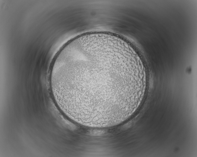 X0000115631278200912221241