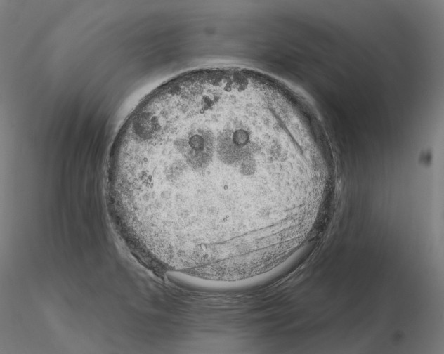 X0000115631279200912221241
