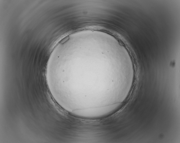 X0000115631281200912221241