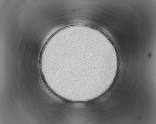 X0000115631283200912221241