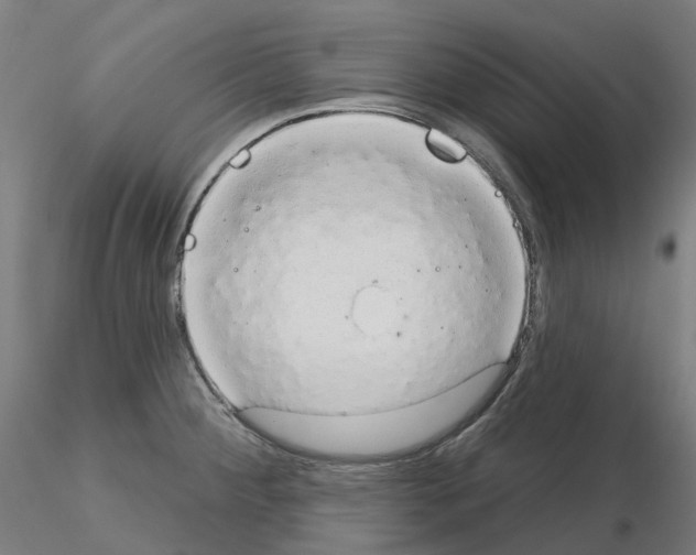 X0000115631284200912221241