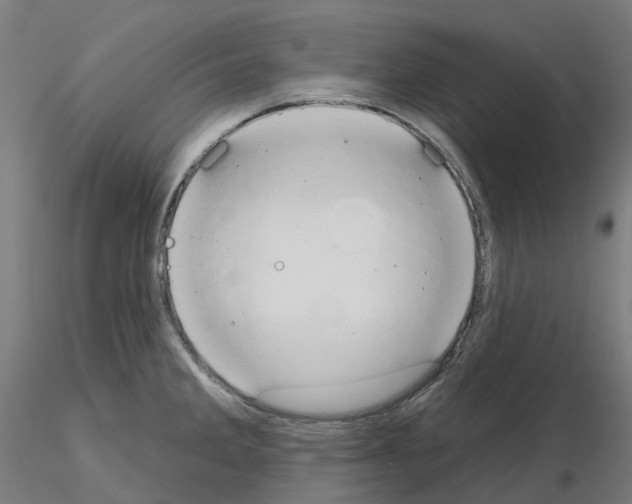 X0000115631285200912221241