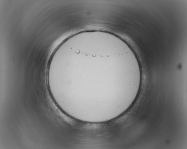 X0000115631286200912221241