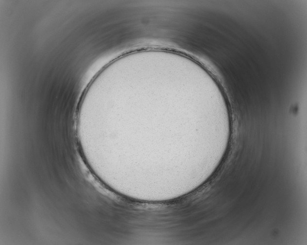 X0000115631287200912221241