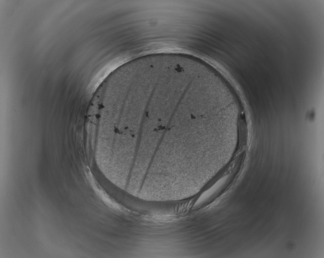 X0000115631289200912221241