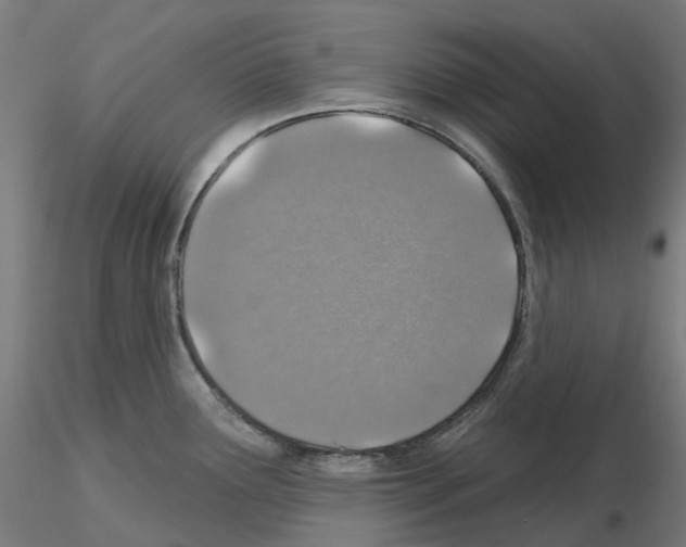 X0000115631291200912221241