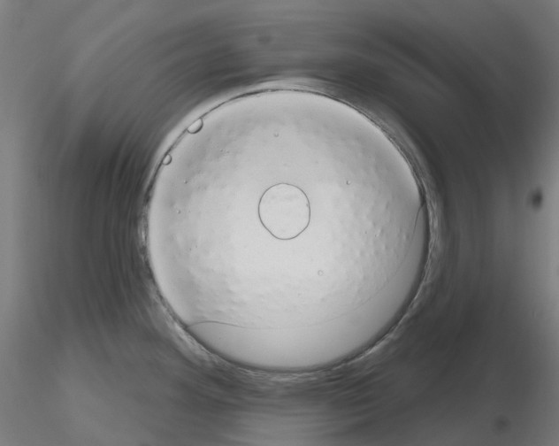 X0000115631292200912221241