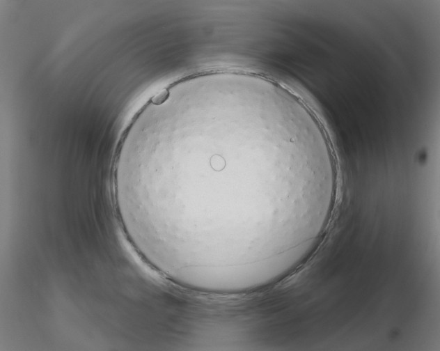 X0000115631293200912221241