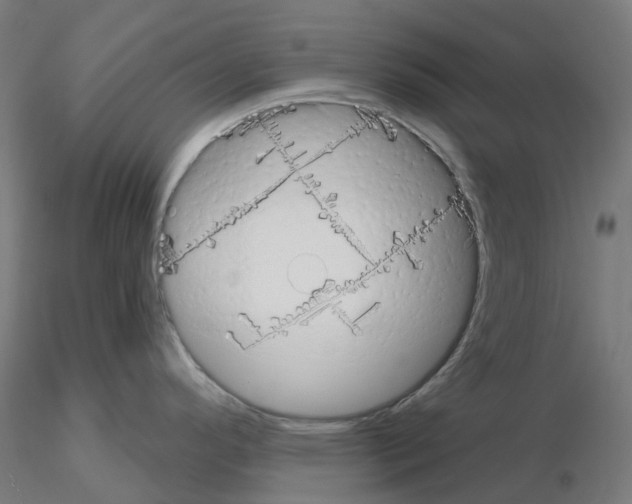 X0000115631296200912221241