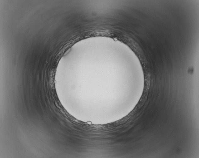 X0000115631298200912221240